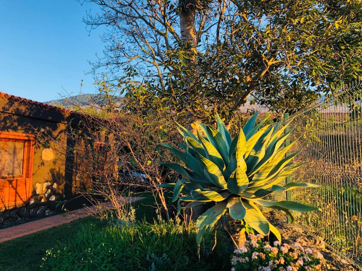 Casa Rural Dona Herminda La Matanza De Acentejo ภายนอก รูปภาพ