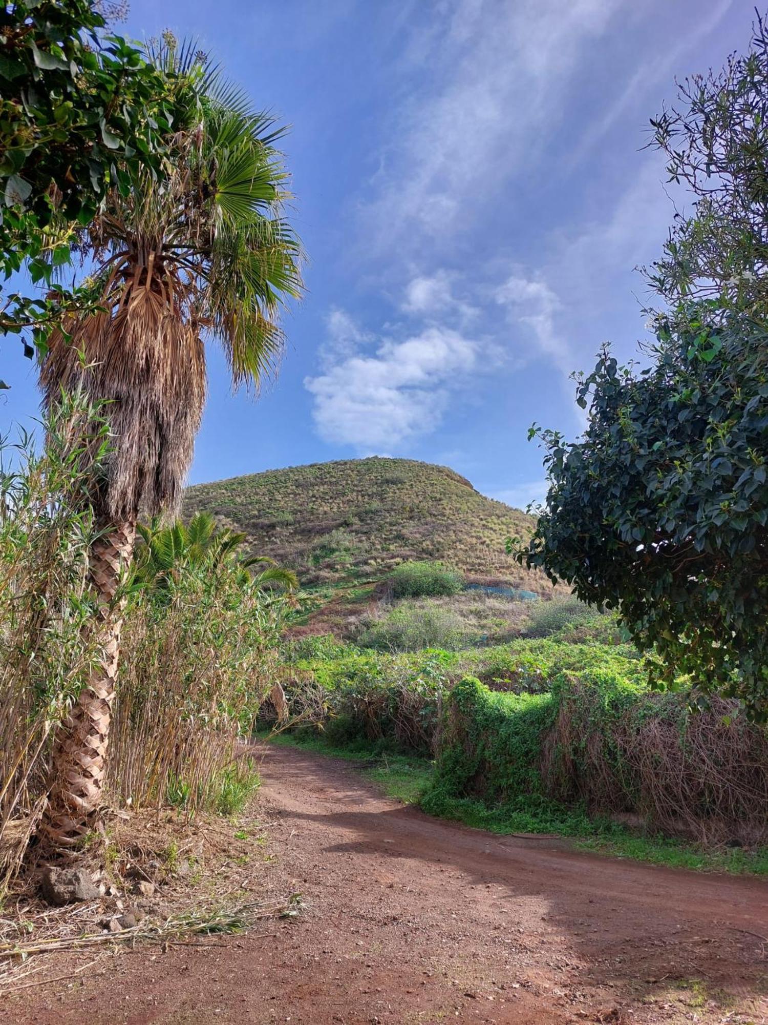 Casa Rural Dona Herminda La Matanza De Acentejo ภายนอก รูปภาพ